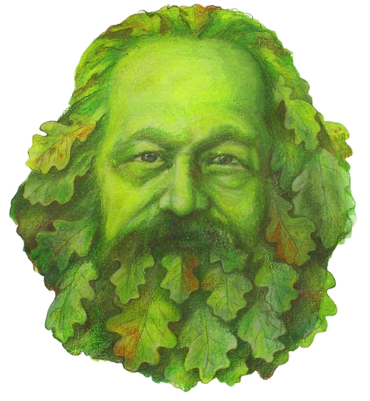 marx in the anthropocene